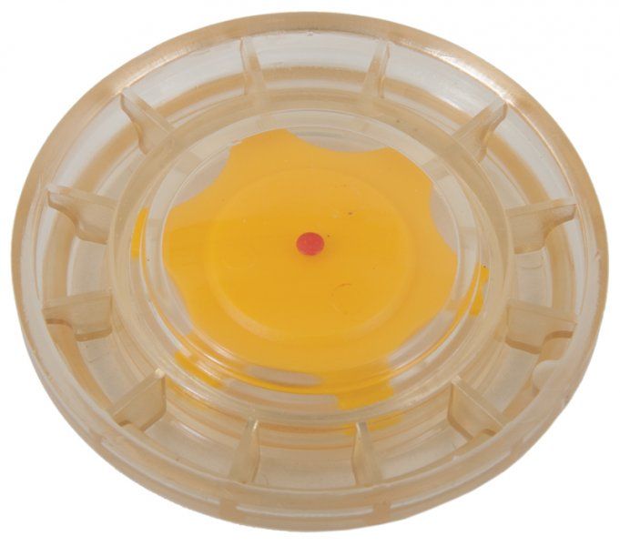 Interpump Oil Sight Glass