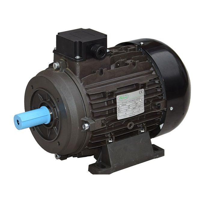 Ravel Electric Motors 3 HP Solid Shaft 415V 38mm Shaft