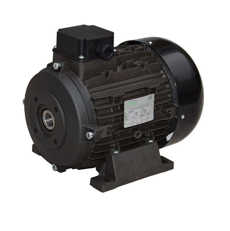 7.5 HP, 1450 RPM, 3 Phase, Hollow Shaft Ravel Motor- 46-004