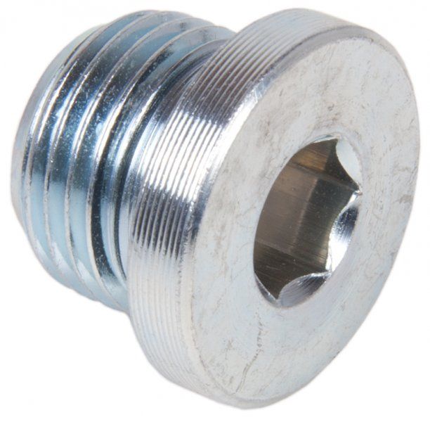 Allen Key Plug with Seal