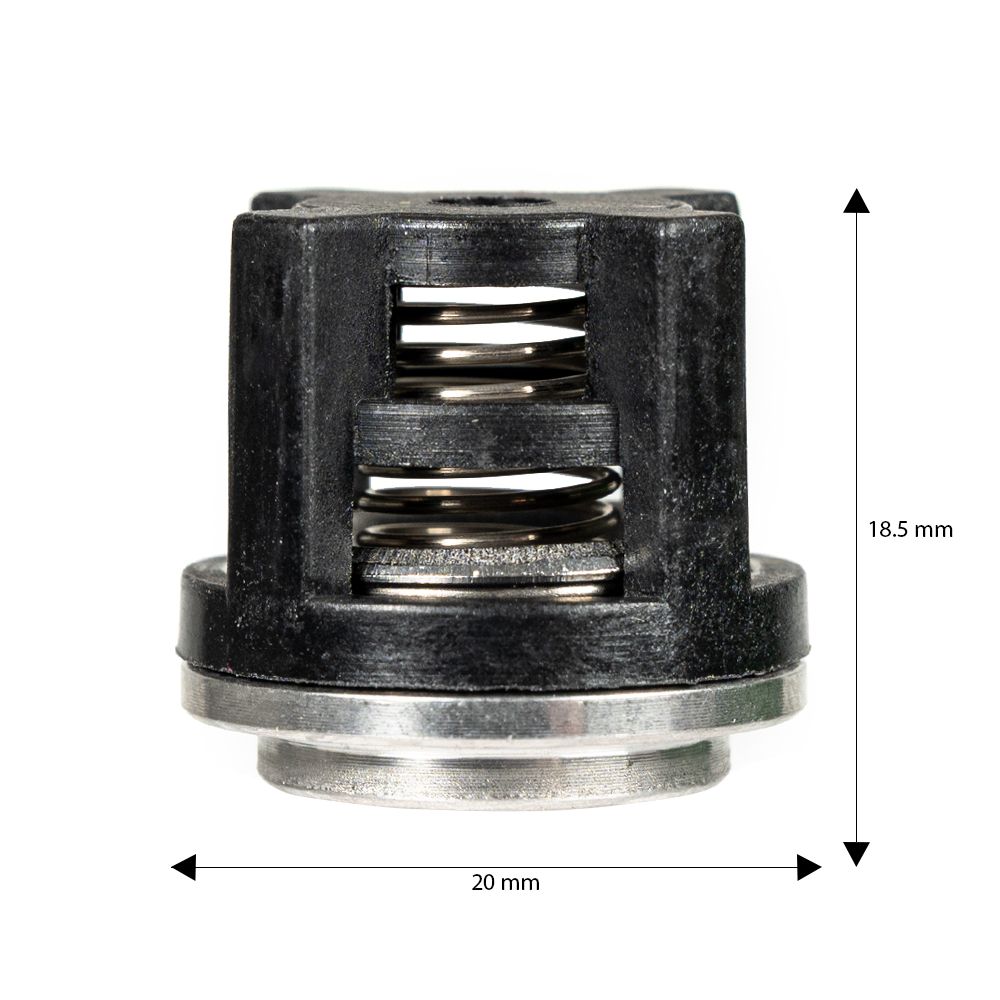 Annovi Reverberi Valve Kit 42169 – Stainless Steel OEM Valve Set for AR Pumps