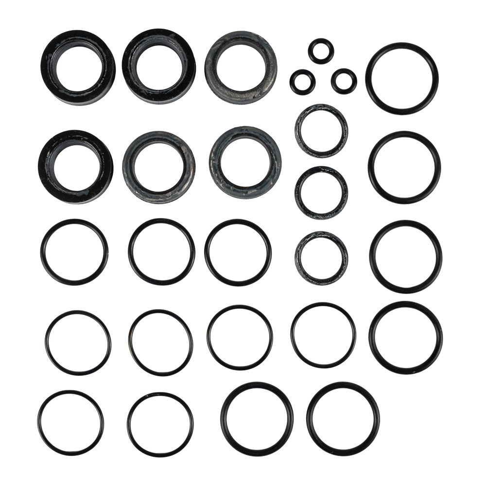CAT 230 / 240 / 270 / 279 Pump Seal Kit – OEM Replacement Kit 30914