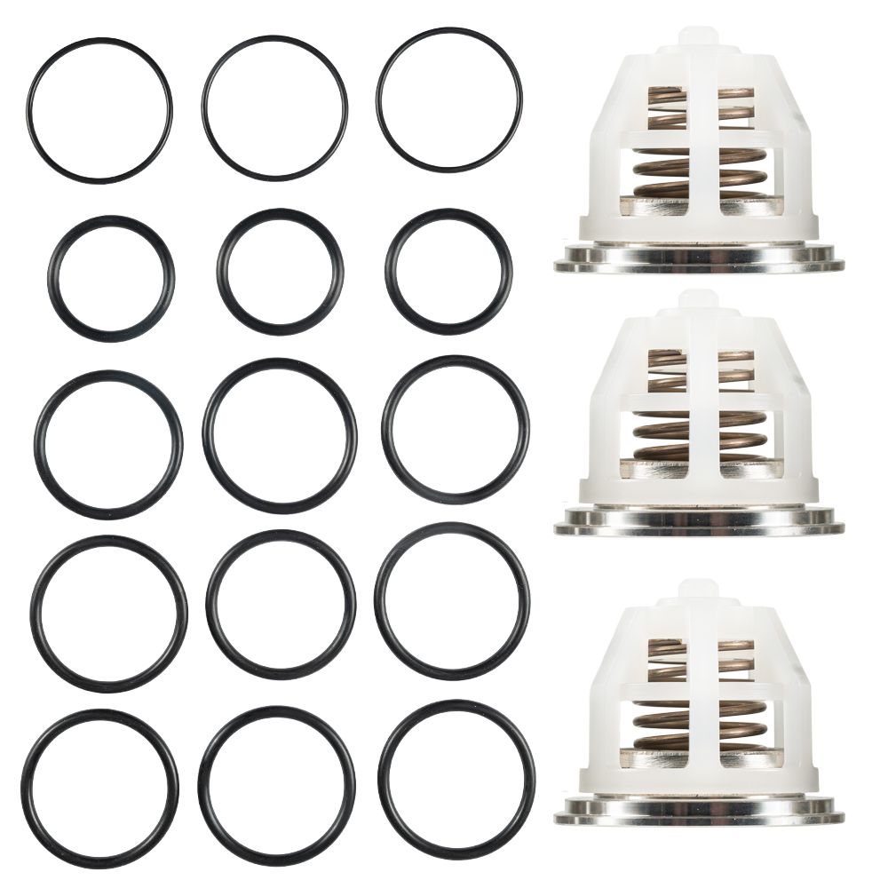 CAT VALVE KIT (2537)