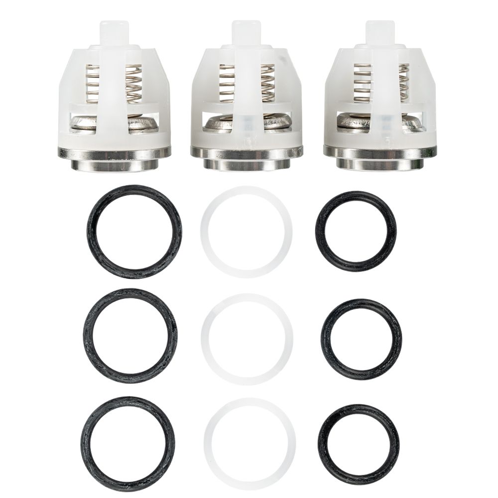 Cat Pump valve Kit  for 45 and 5 CP 