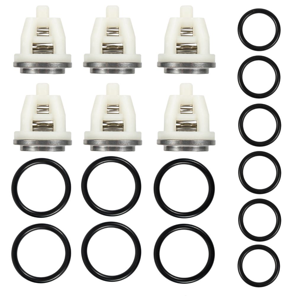 HAWK NMT Valve Kit 1.905-543.0