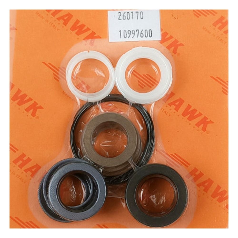 Hawk NLT 18mm plunger seal kit 1.099-760.0