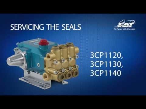Servicing Seals - Cat Pumps Model 3CP1120, 3CP1130, 3CP1140