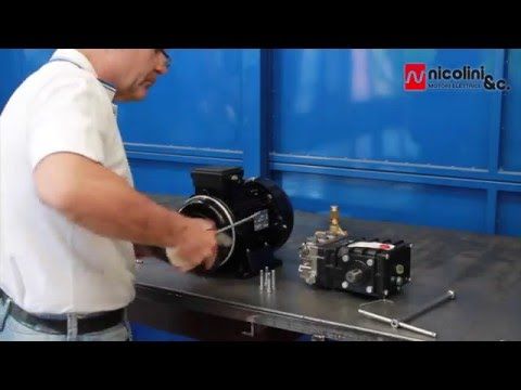 Nicolini DOUBLE FLANGE motor IEC 112