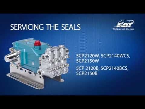 Servicing Seals - Cat Pumps Model 5CP2120W, 5CP2140WCS, 5CP2150W, 5CP2120B, 5CP2140BCS, 5CP2150B