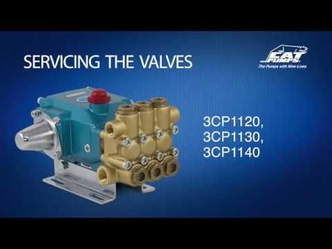 Servicing Valves - Cat Pumps Model 3CP1110CS, 3CP1120, 3CP1130, 3CP1140
