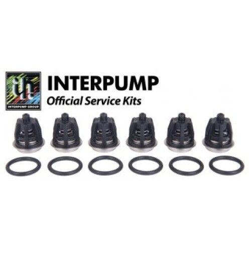 Interpump Kit 6 x Valves – Genuine replacement for WS162, WS201, WS202 pressure washers.