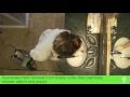 SG-8, SG-10: the eco-friendly cleaning system