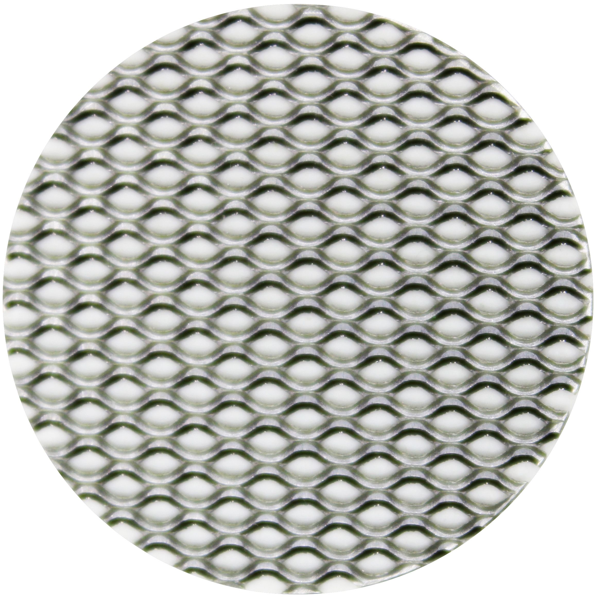 LS12 STRAINER SS PERFORATED
