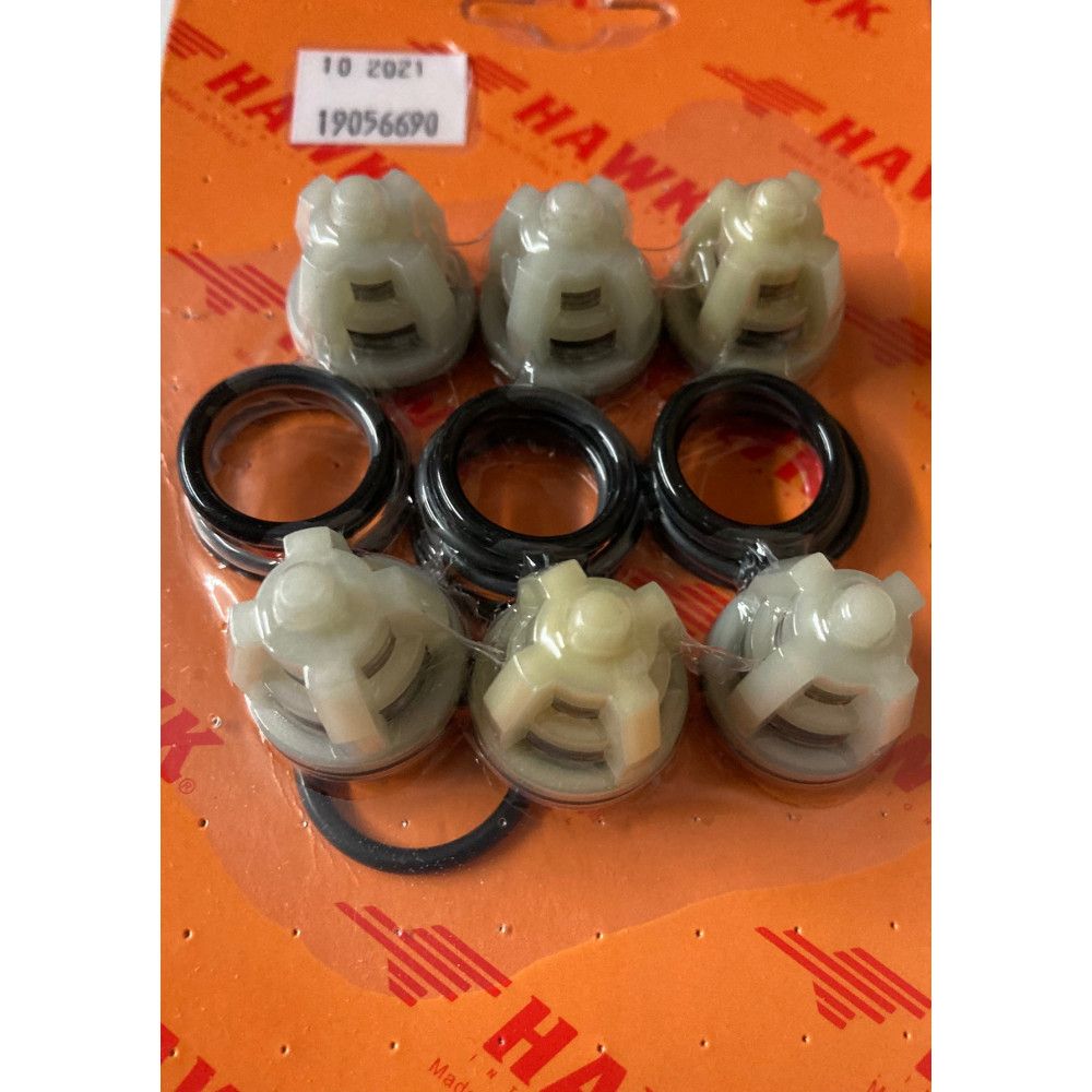 Hawk Valve KIt 1.905-669.0