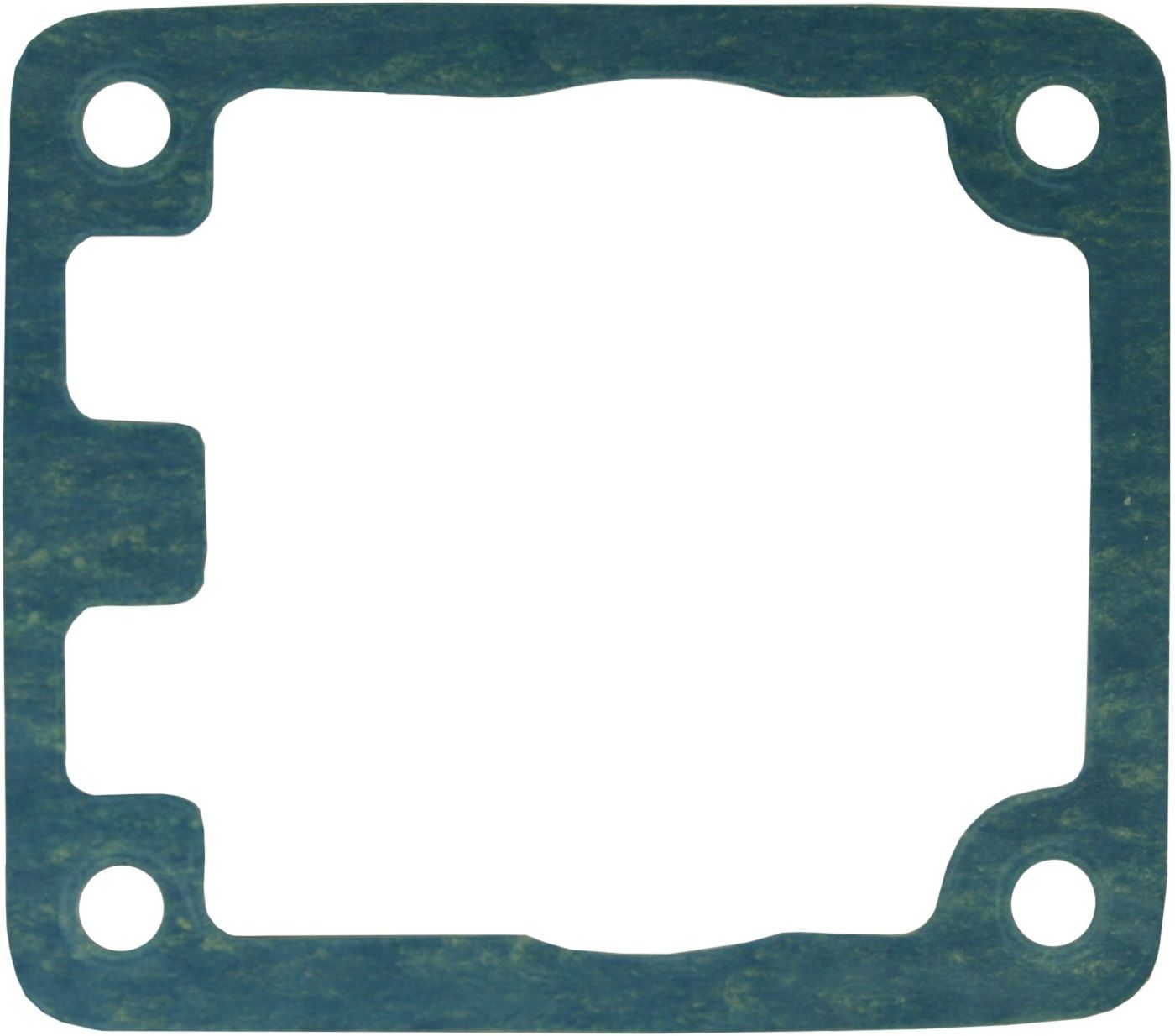 Suntec Fuel Pump Gasket