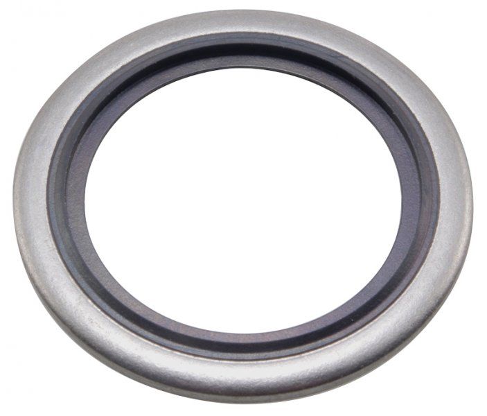 Dowty Washer - AISI 316 1/2"