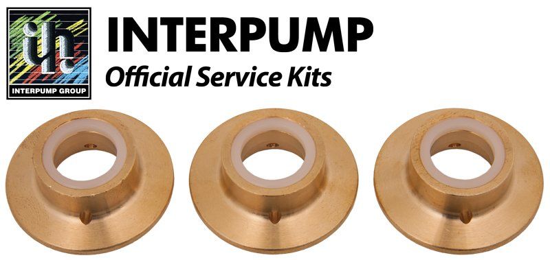 Interpump Service/Repair Kit 154