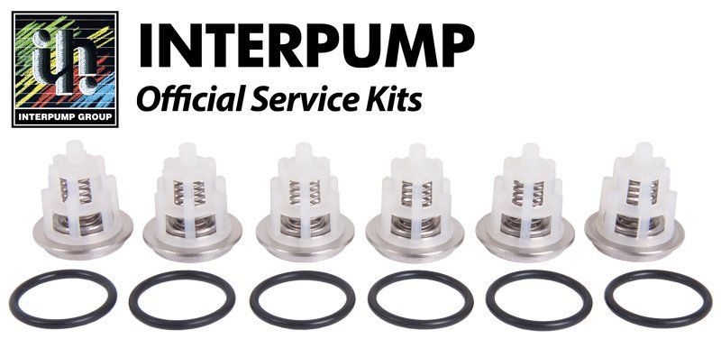 Interpump KIT169 Valve Kit with 6 Valves and O-Rings