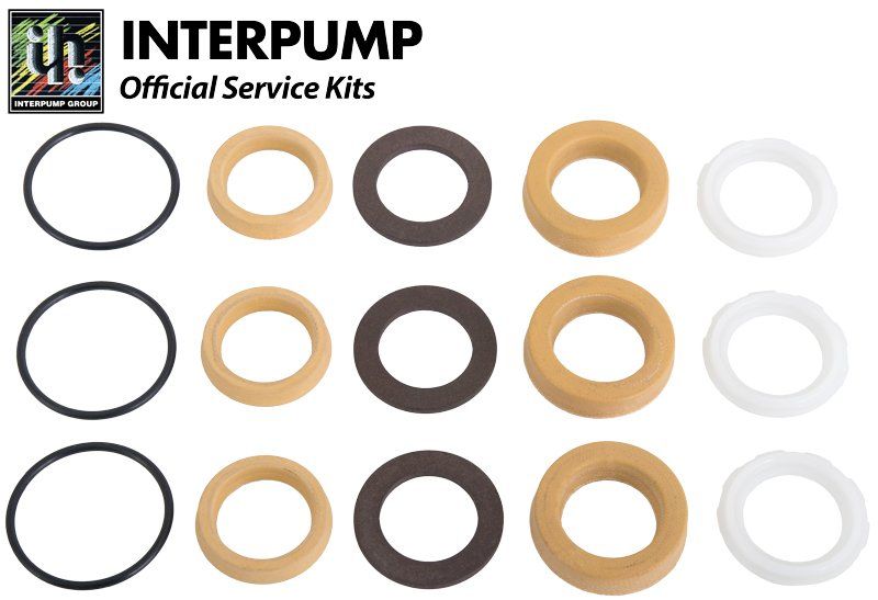 Interpump 58CW Series Water Seal Kit 342