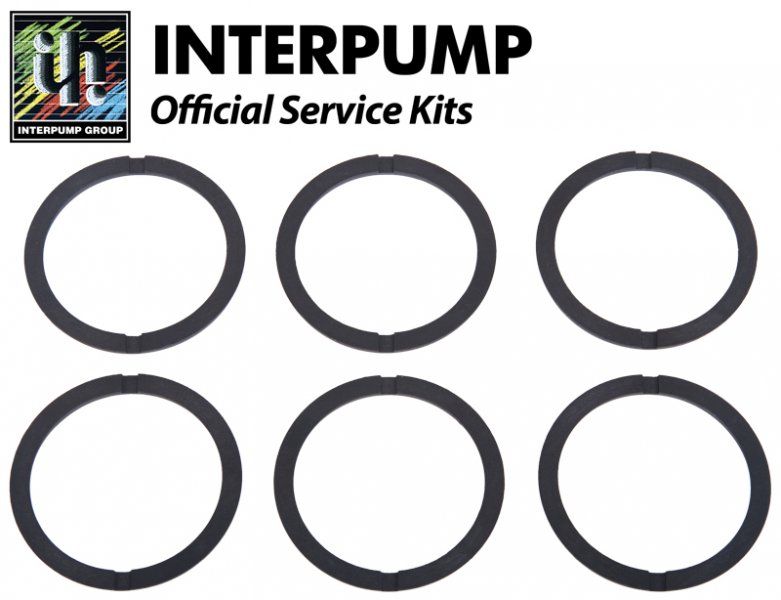 Interpump Repair Kit 48