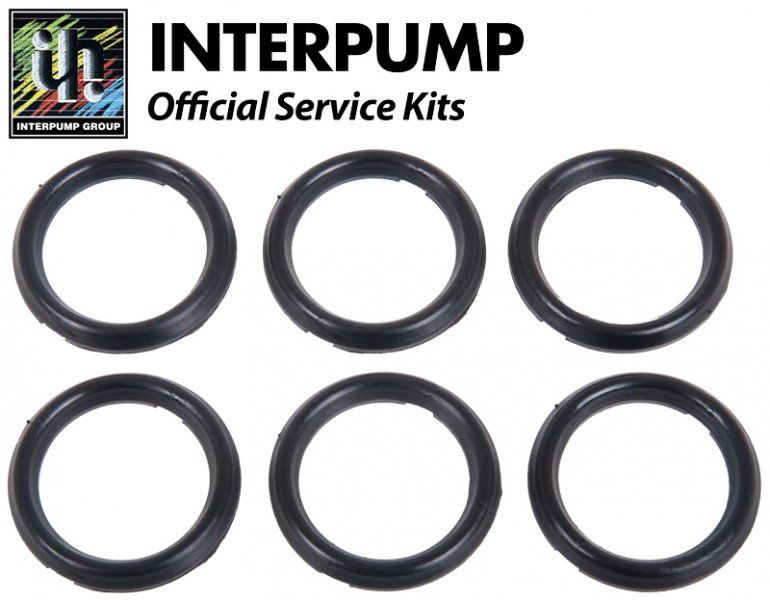 Interpump repair kit 65