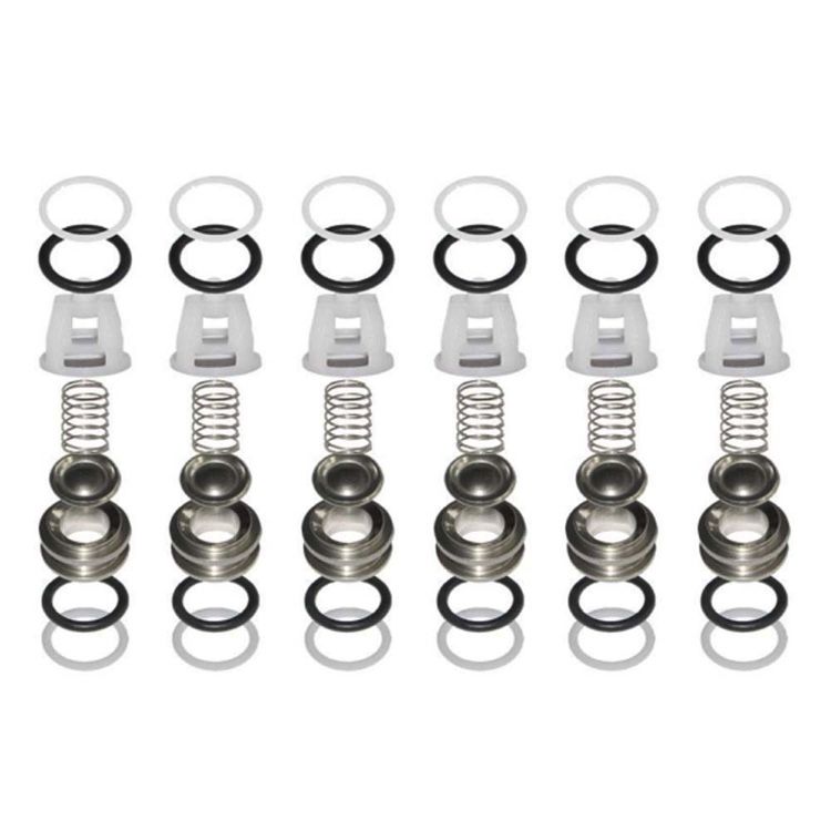 TW Comet Pump Valve Kit