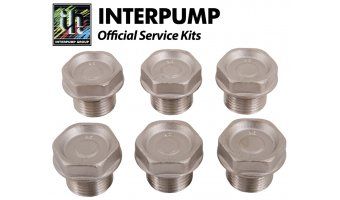 Interpump Service/Repair Kit 5