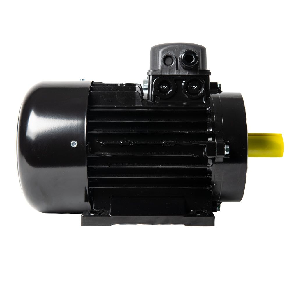 Nicolini Electric Motor 3kW 4hp 230V F100 – image 3