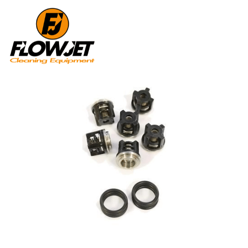 Nilfisk Neptune Pump Valves 