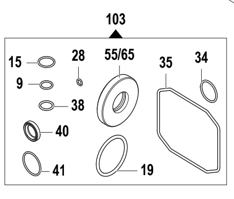 Comet LW Oil Seal Kit