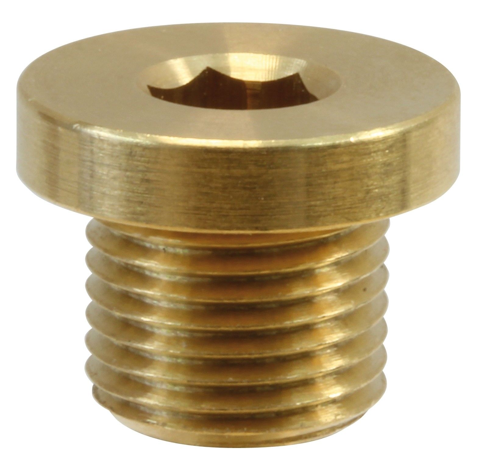 MALE PLUG WITH RIM-1/2"