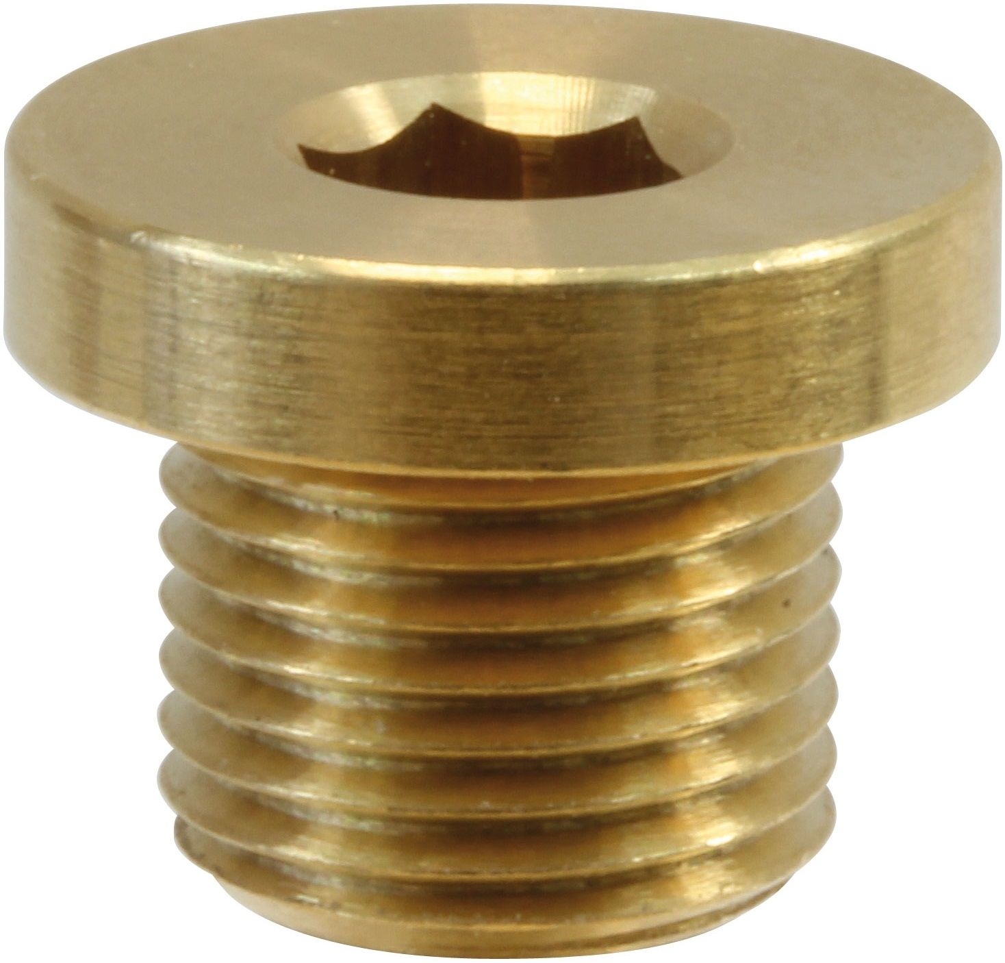 MALE PLUG WITH RIM-1/8"