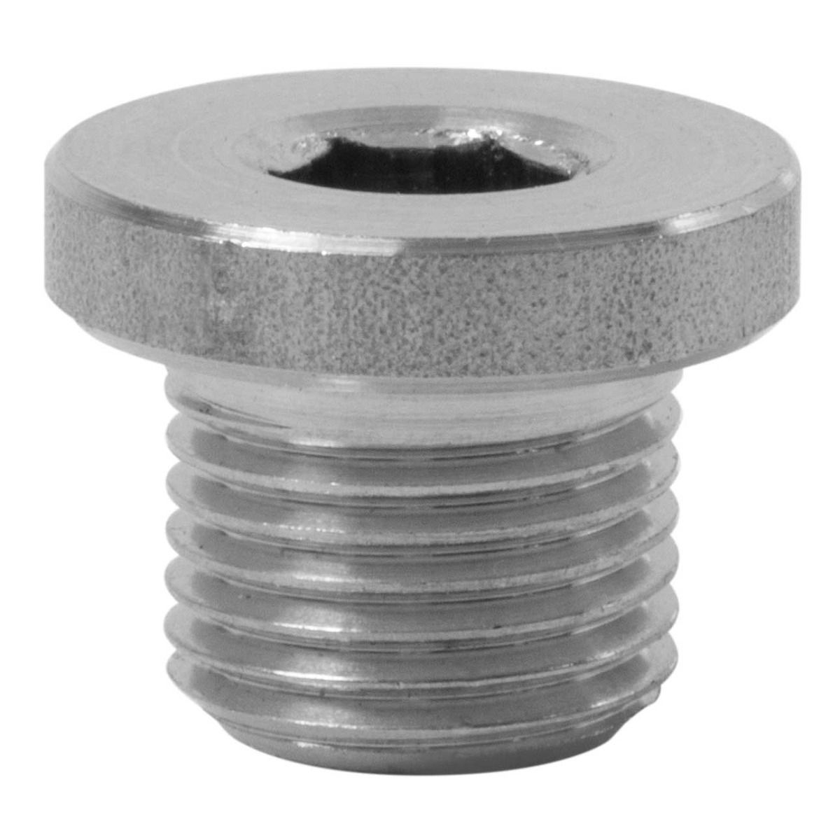 PLUG 1/2" WITH RIM SS