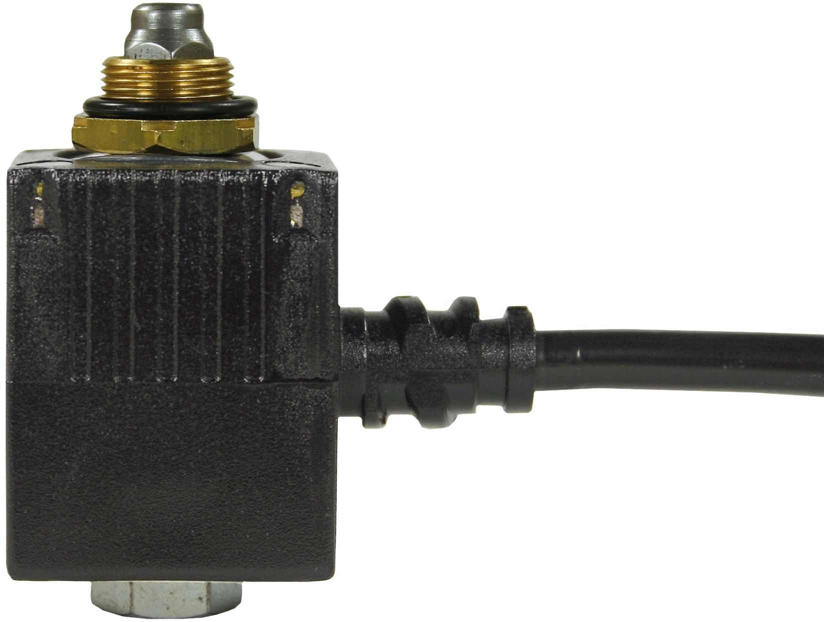 821024 Coil 24 Volt With Lead