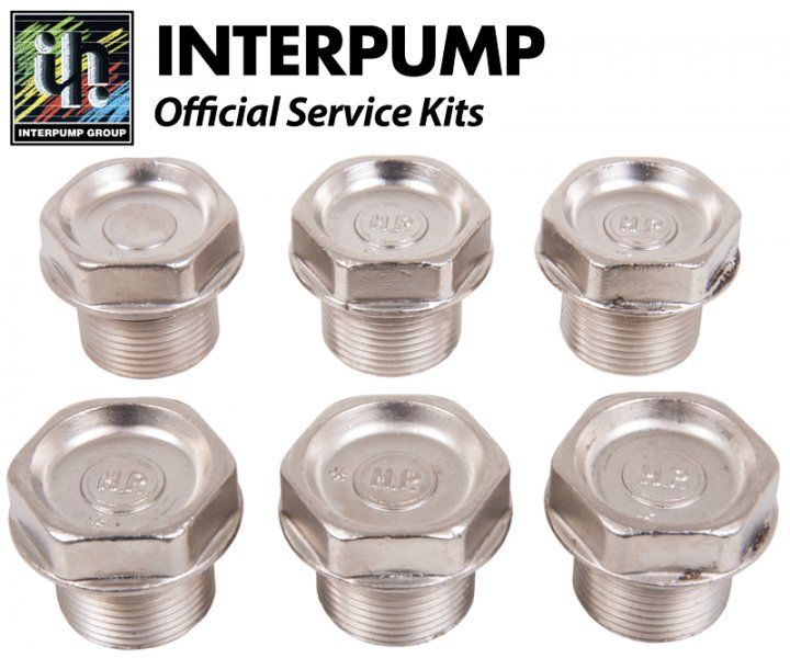 Interpump Service/Repair Kit 106