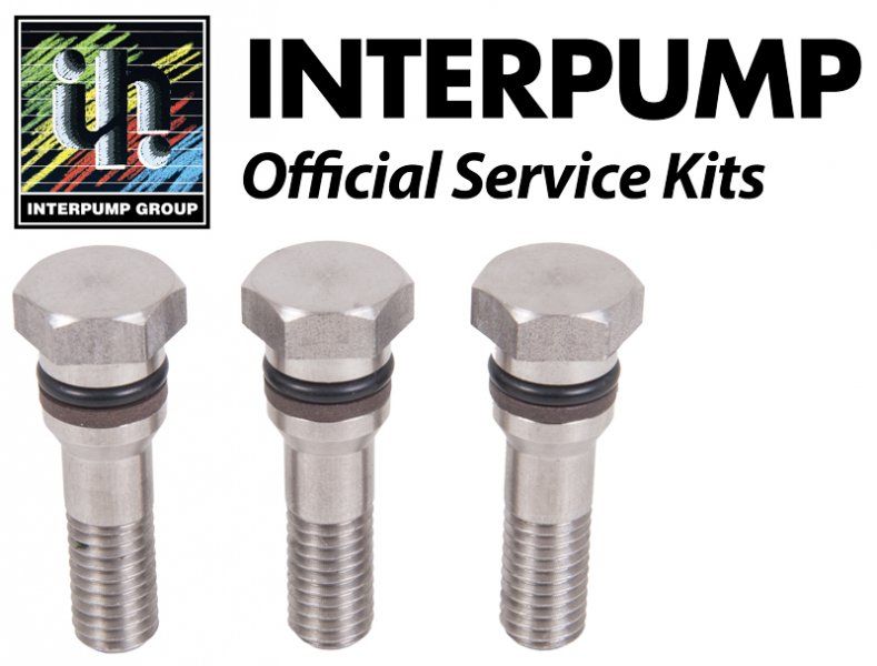 Interpump Service/Repair Kit 107