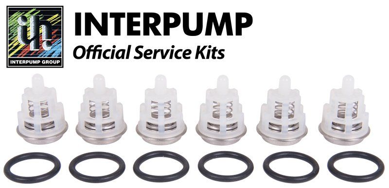 Interpump Kit 123 Pump Valves for TX12100, W112, W130, W140, W154 models. Includes 6 suction/delivery valves for maintaining pump performance.