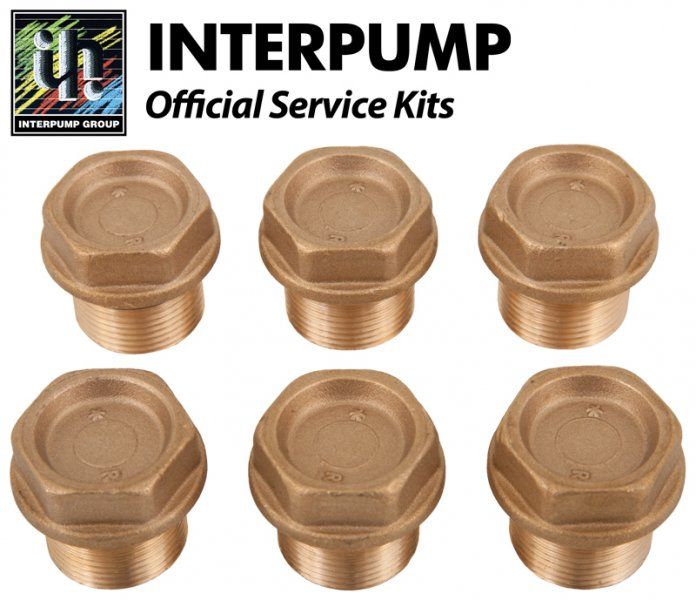 Interpump Service/Repair Kit 124