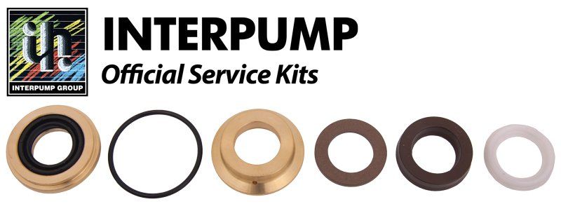 Interpump Complete Seal Assembly Kit 166