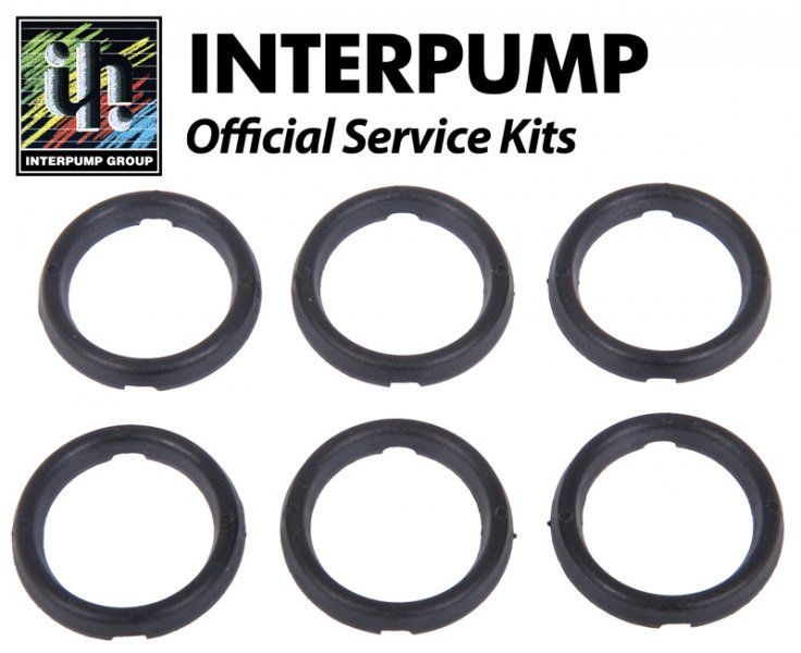 Interpump Service/Repair Kit 21