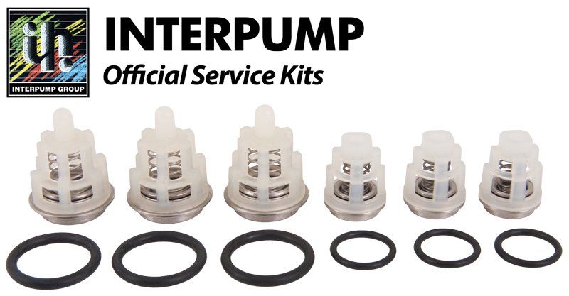 Interpump 269 valves 