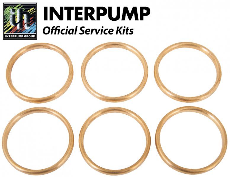 Interpump Repair Kit 41