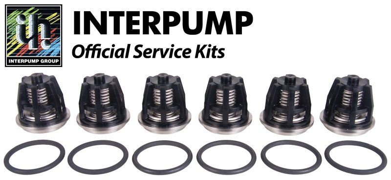 Interpump Repair Kit 43