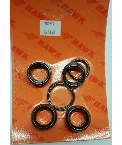 Hawk Genuine Pump Seal kit NST1212R 260140