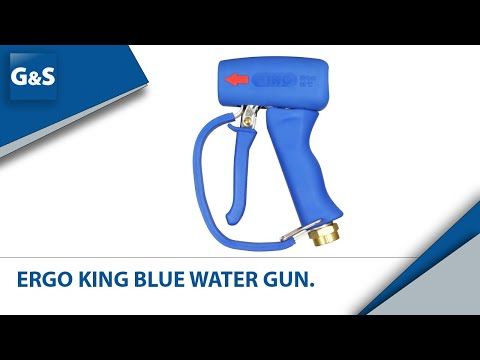 Economy Ergo Blue King wash gun.