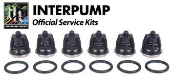 Interpump Valve Kit 1