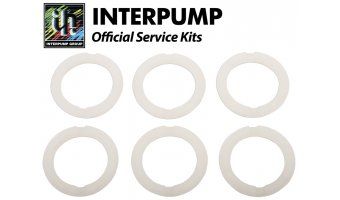 Interpump Service/Repair Kit 11 White Head Rings