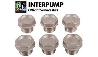 Interpump Service/Repair Kit 5 Valve Caps