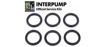 Interpump Kit 7 6x 20mm head rings