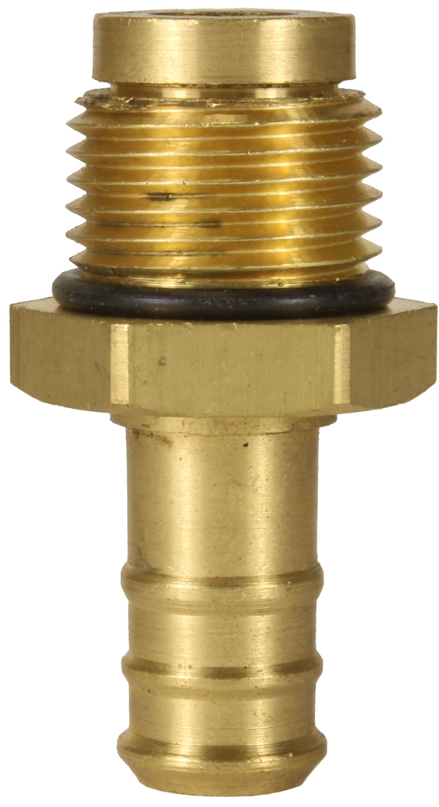 HOSE TAIL BRASS 1/2" MALE, 12mm, WITH SWIVEL